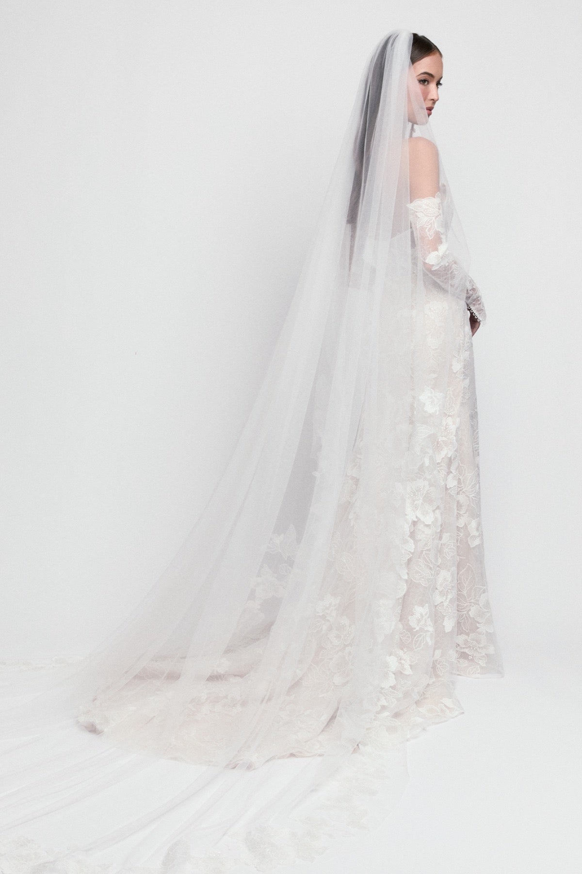 Modernes Hochzeitskleid Tabby von Locket by Watters mit weicher floraler Spitze und femininer Silhouette.